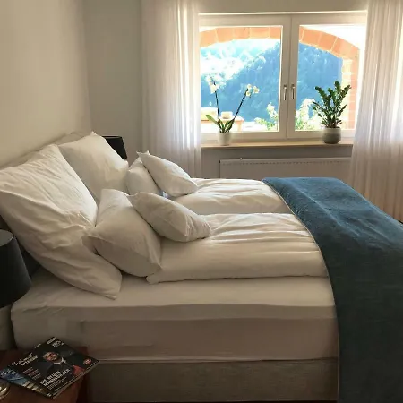 Apartment Schwarzwald *